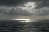 DSC_3012_resize.JPG