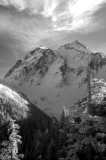 DSC_1128_resize.jpg