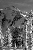DSC_1176_resize.jpg