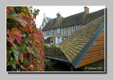 Autumn leaves on the wash-house