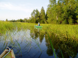 Guideboat Guy Eric on BEAR River.JPG