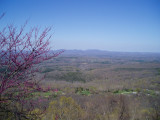 AR Ozarks in Spring.JPG