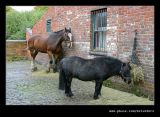 Horse & Pony, Black Country Museum