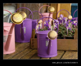 Painted Cans For Sale, Hidcote Manor