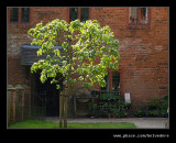 Wightwick Manor #03