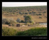 Watering Hole, Addo Elephant Park