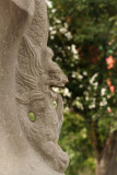 Dragon Detail