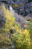 bridalveil1.jpg