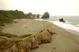 OR Coast1.JPG