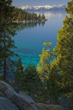 Cant Get Enough of Lake Tahoe!