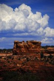 Canyonlands is More Than Just Canyons