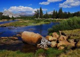 Tuolumne Meadows