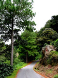 Boquete, Western Highlands