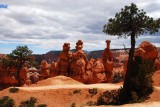 Nice Hoodoo Family Under a Tree