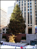 PICT0154_1.jpg