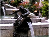 PICT0156_1.jpg