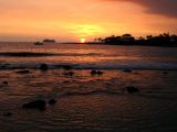 IMG_0940.jpg