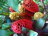 IMG_1626paint10.jpg