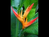 IMG_1725pos.jpg