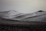 palouse_hills5137.jpg