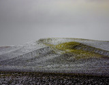 palouse_hills5138.jpg