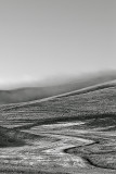 Palouse5215.jpg