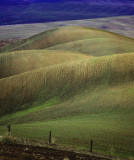 palouse_hills5126a.jpg