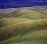 palouse_hills5126acropped.jpg