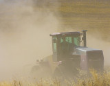 DustyTractor-6254.jpg