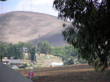 Meerendal South Africa 14 Jan 2007