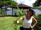 Martinique East Coast