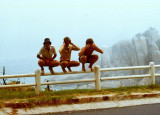 Three Monkeys 1980s
