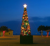 Christmas Tree 46954