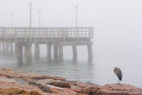 Pier & Heron In Fog 46209