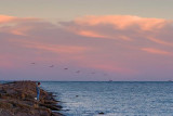 South Jetty At Sunset 47688