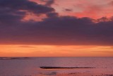 Goose Island Sunrise 50188