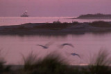 Aransas Bay At First Light 52844