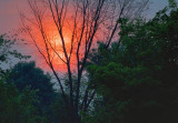 Hazy Sunrise 20070627