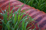 Rusty Drainage Pipe 20070714
