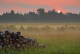 Log Pile At Sunrise 20070726