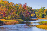 Autumn River 20070925