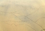 13043 - The waves as artists on the sand...  / Lake Malawi - Malawi