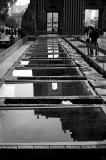 ruined reflect