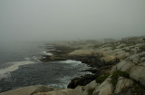 Houses in the fog at Peggys Cove.