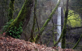 Latourell  Falls