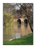 Le Vieux Moulin Charleville