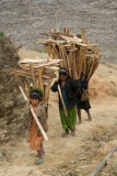 women collect and carry firewood