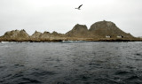 The Farallon Islands National Marine Sanctuary
