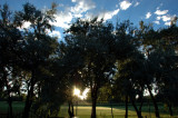 Aug 9 - Sunrise over the Golf Course