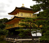 The Golden Pavilion Temple